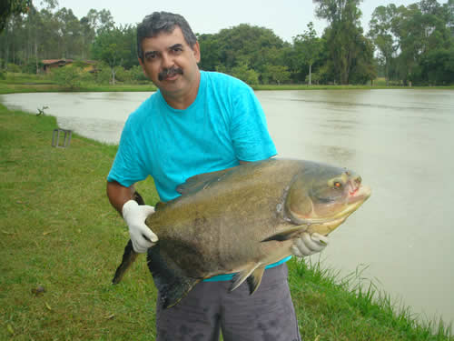 Cléber Luiz Pereira - proprietário do Amigos Pescadores